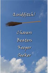 Quidditch! Chasers, Beaters, Keepers, Seekers