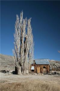 Abandoned Cabin in the California Desert Journal