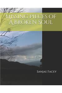 Missing Pieces of a Broken Soul