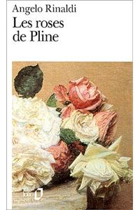 Roses de Pline