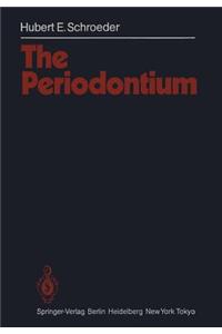 The Periodontium