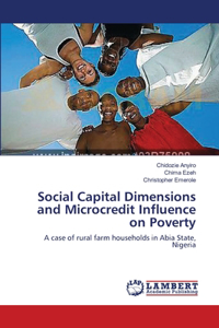 Social Capital Dimensions and Microcredit Influence on Poverty