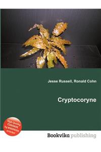 Cryptocoryne