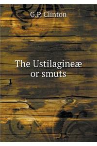 The Ustilagineæ or smuts