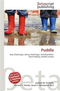 Puddle