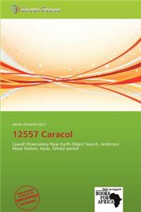 12557 Caracol