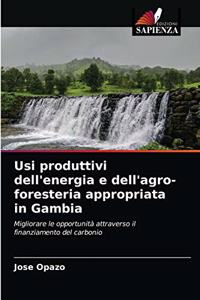 Usi produttivi dell'energia e dell'agro-foresteria appropriata in Gambia