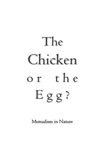 The Chicken or the Egg?