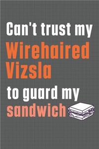 Can't trust my Wirehaired Vizsla to guard my sandwich