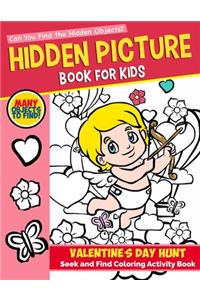 Hidden Picture Book for Kids