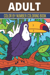 Adult Color By Number Coloring Book