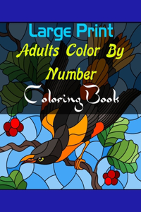 Large Print Adults Color By Number Coloring Book