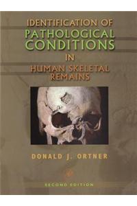 Identification of Pathological Conditions in Human Skeletal Remains