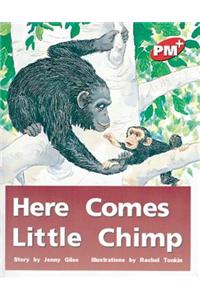 Here Comes Little Chimp