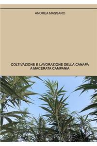 Coltivazione e lavorazione della canapa a Macerata Campania