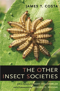 Other Insect Societies