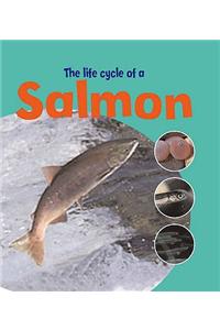 Learning About Life Cycles: The Life Of A Salmon