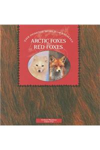 Arctic Foxes and Red Foxes