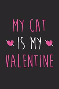 Valentine's Day Notebook - Valentine's Day Gift for Animal Lover - Valentine's Day Cat Journal - Cat Diary