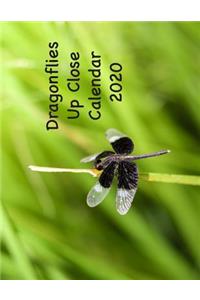 Dragonflies Up Close Calendar 2020