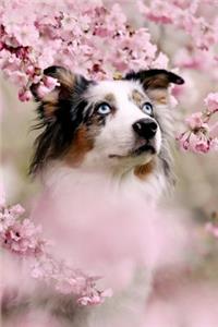 Hundetagebuch