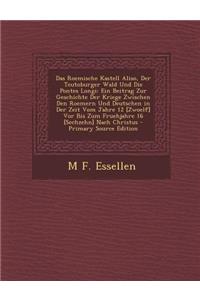 Das Roemische Kastell Aliso, Der Teutoburger Wald Und Die Pontes Longi: Ein Beitrag Zur Geschichte Der Kriege Zwischen Den Roemern Und Deutschen in Der Zeit Vom Jahre 12 [Zwoelf] VOR Bis Zum Fruehjahre 16 [Sechzehn] Nach Christus - Primary Source E