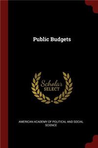 Public Budgets