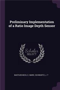 Preliminary Implementation of a Ratio Image Depth Sensor