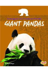 Giant Pandas