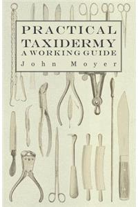 Practical Taxidermy - A Working Guide