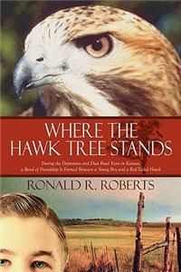 Where the Hawk Tree Stands