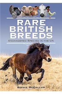 Rare British Breeds