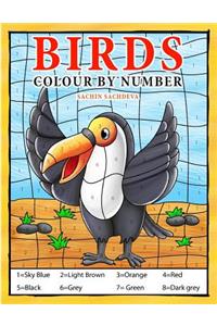 Birds