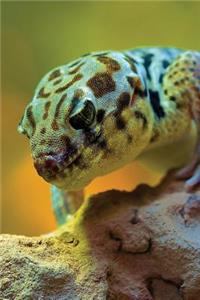 Wonder Gecko Any Day Planner Notebook