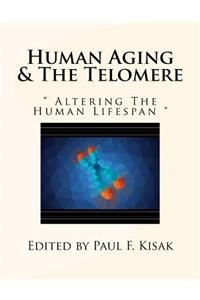 Human Aging & The Telomere