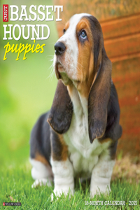 Just Basset Hound Puppies 2021 Wall Calendar (Dog Breed Calendar)