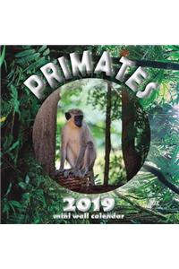 Primates 2019 Mini Wall Calendar