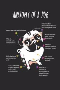 Anatomy of a Pug