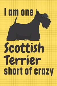 I am one Scottish Terrier short of crazy