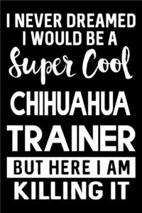 I Never Dreamed I Would Be A Super Cool Chihuahua Trainer But Here I Am Killing It