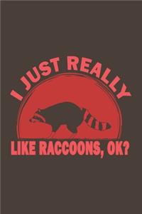 I Just Really Like Raccoons, Ok?