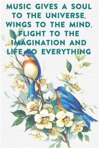 Music gives a soul to the universe, wings to the mind, flight to the imagination and life to everything