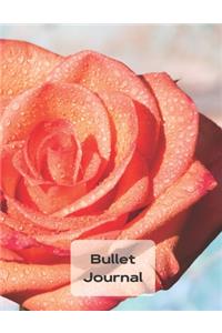 Bullet Journal