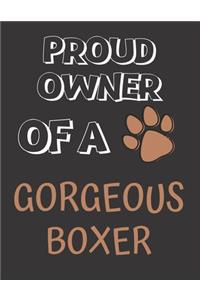 Proud Owner of a Gorgeous Boxer
