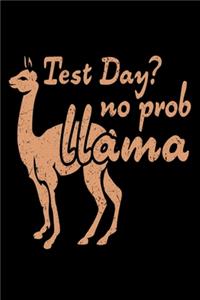 Test Day? No Prob Llama