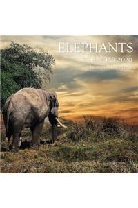 Elephants Calendar 2020