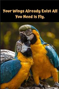 Your Wings Is Already Exist All You Need Is Fly