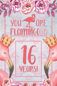 16th Birthday Journal