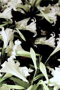 2020 Weekly Planner Flowers Pretty White Lilies 134 Pages