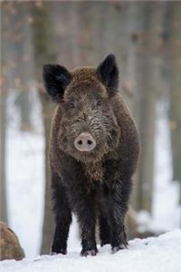 Don't Bore the Boar Journal